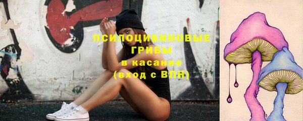 круглые Алексеевка