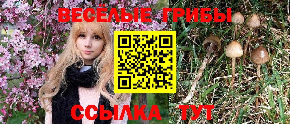 Уфа  Галлюциногенные грибы прущие грибы  Галлюциногенные грибы мухоморы  Вход с VPN 